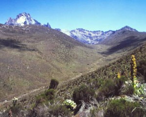 Mt. Kenya 2000 Klaus Wahl Hochtour