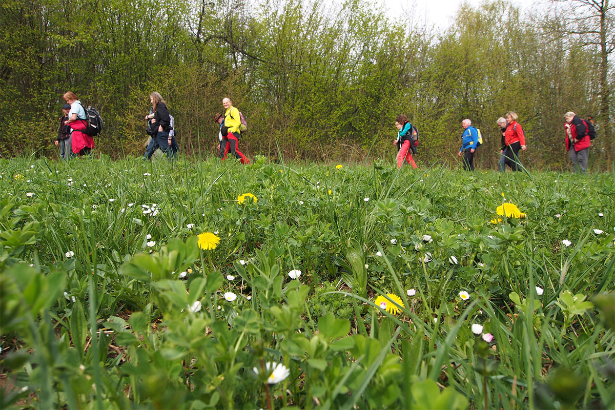 2015 DAV Suhl Höhlenwanderung Fränkische Schweiz bei Engelhardsberg (Foto: Andreas Kuhrt)
