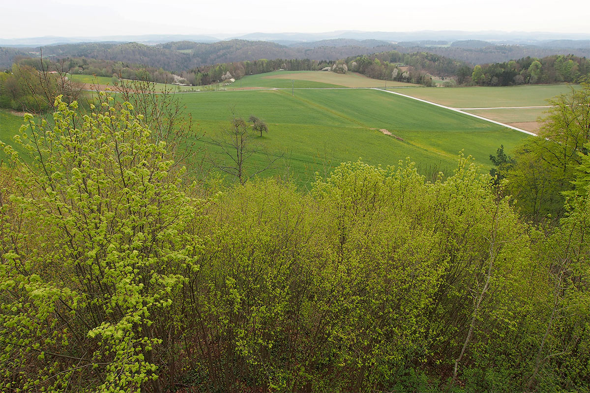 2015 DAV Suhl Höhlenwanderung Fränkische Schweiz Aussicht vom Adlerstein (Foto: Andreas Kuhrt)