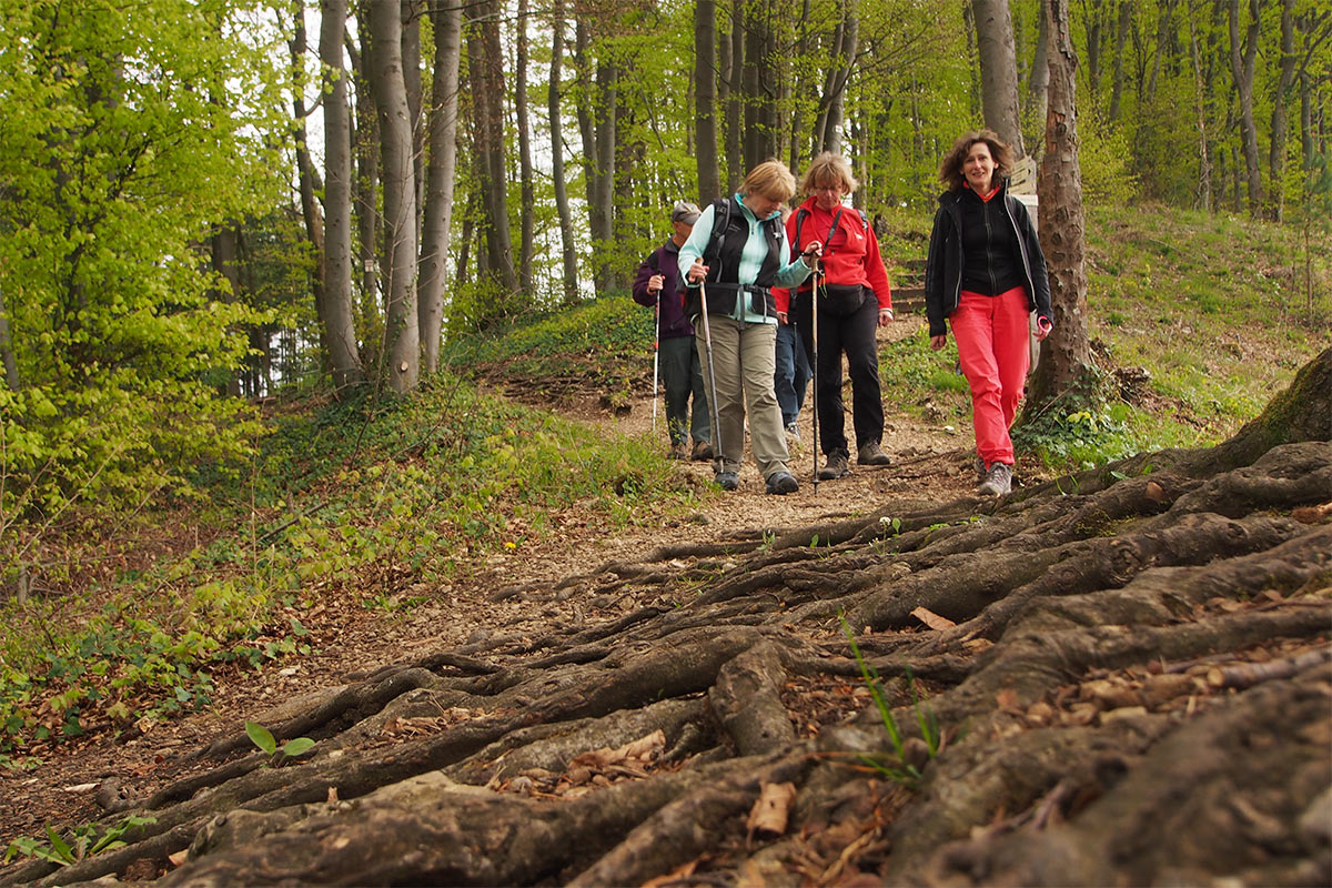 2015 DAV Suhl Höhlenwanderung Fränkische Schweiz Frankenweg (Foto: Andreas Kuhrt)