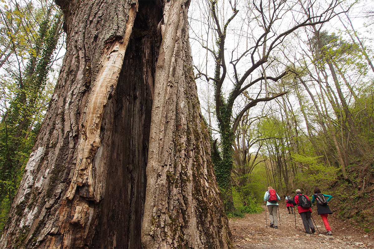 2015 DAV Suhl Höhlenwanderung Fränkische Schweiz Weg zur Rosenmüllerhöhle (Foto: Andreas Kuhrt)