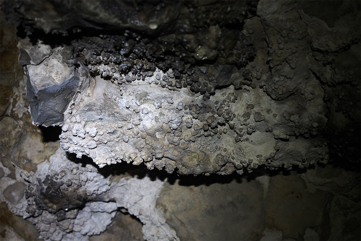 2015 DAV Suhl Höhlenwanderung Fränkische Schweiz Oswaldhöhle (Foto: Manuela Hahnebach)