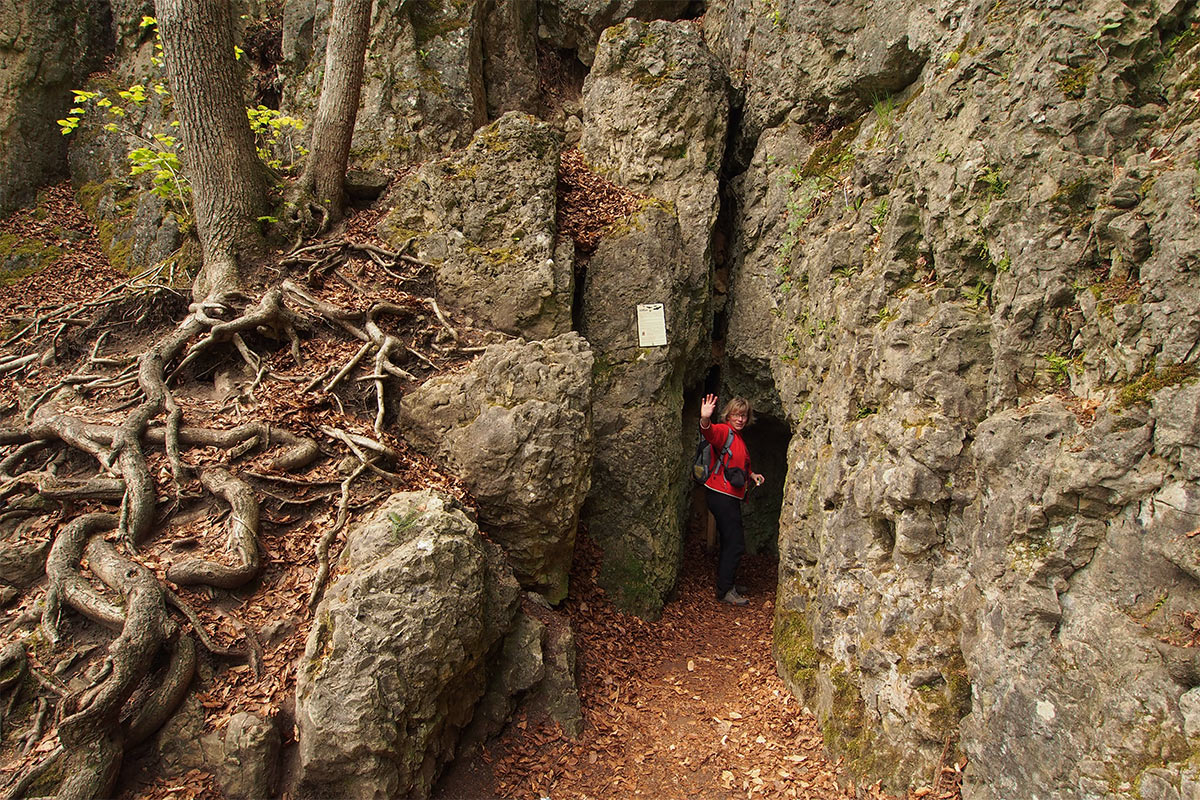 2015 DAV Suhl Höhlenwanderung Fränkische Schweiz Rosenmüllerhöhle (Foto: Andreas Kuhrt)