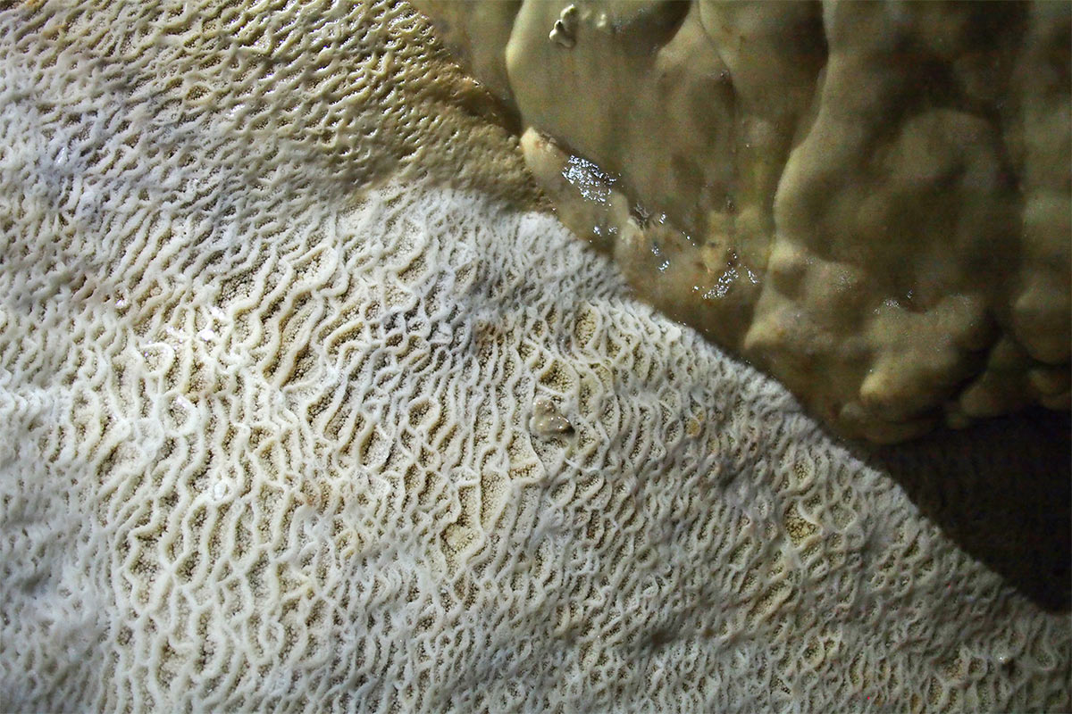 2015 DAV Suhl Höhlenwanderung Fränkische Schweiz Sophienhöhle (Foto: Manuela Hahnebach)