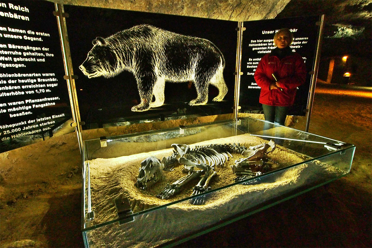 2015 DAV Suhl Höhlenwanderung Fränkische Schweiz Sophienhöhle (Foto: Andreas Kuhrt)