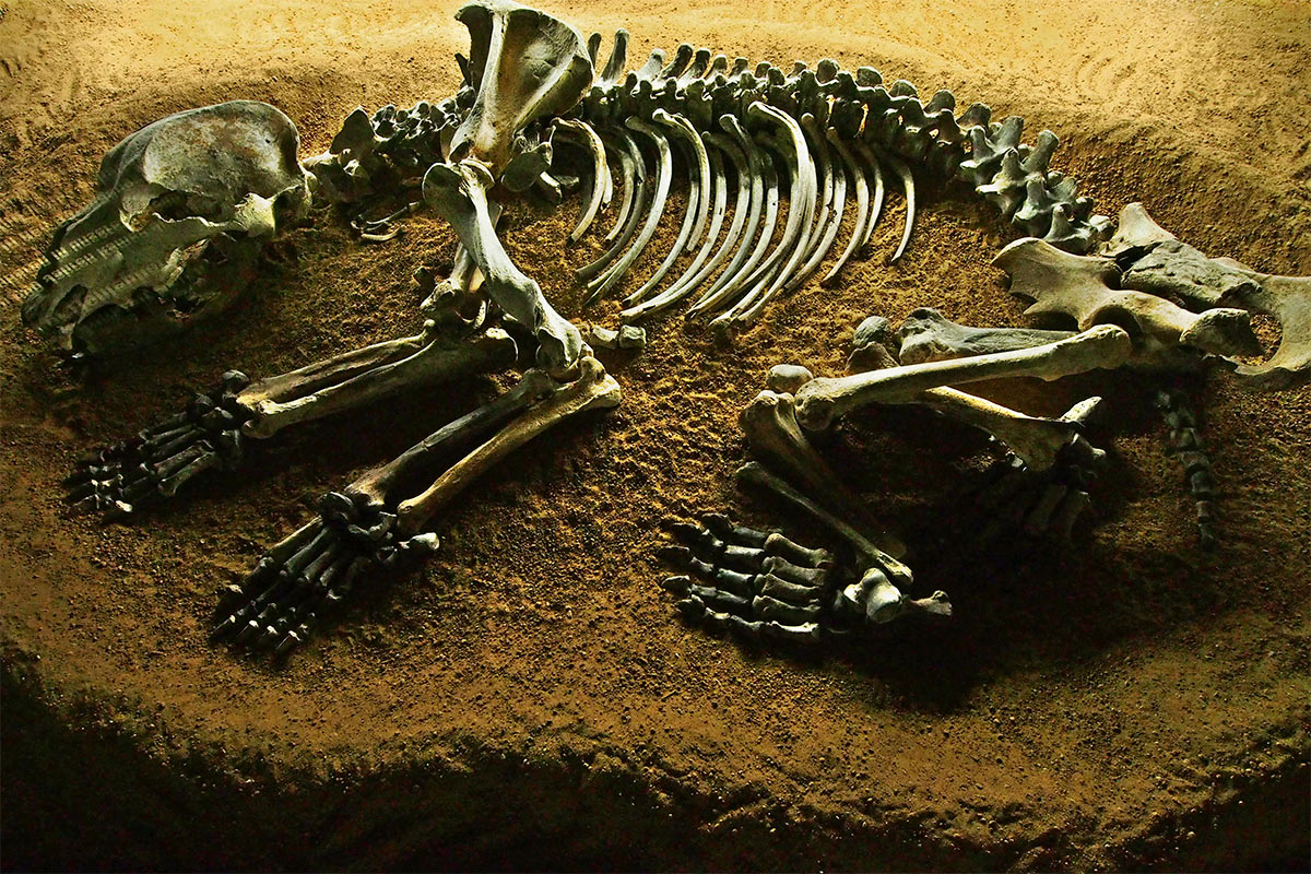 2015 DAV Suhl Höhlenwanderung Fränkische Schweiz Sophienhöhle Benno (Foto: Andreas Kuhrt)