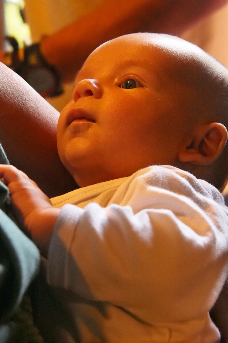 25 Jahre DAV Suhl . Forsthaus Oberschönau . 29.08.2015 (Foto: Andreas Kuhrt)