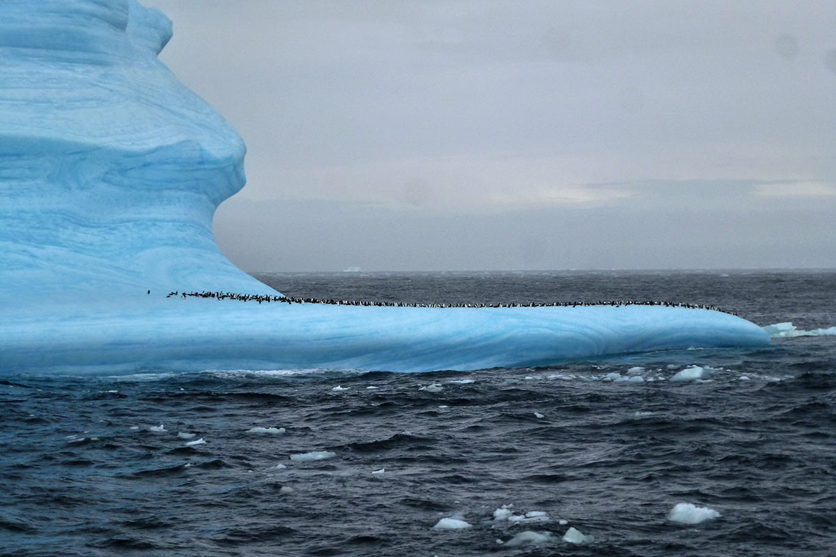 Eisberge in der Antarktis (Foto: Lehmann)