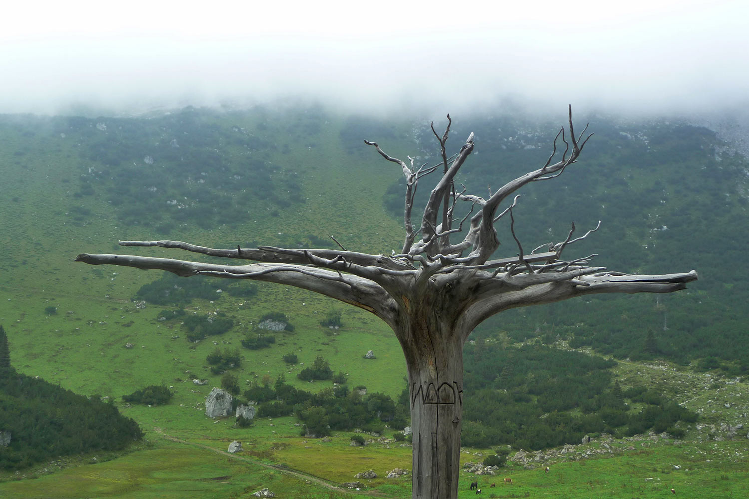 Klettersteigtour Montafon 2016 (Foto: Udo Geyersbach)