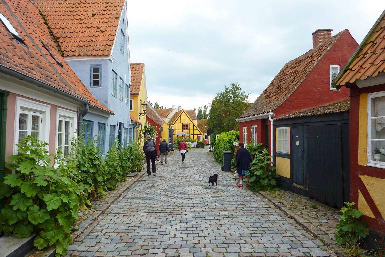 Gasse in Ærøskøbing (Ærø, Dänemark) . Segeln Dänische Südsee 2016 (Foto: Udo Geyersbach)