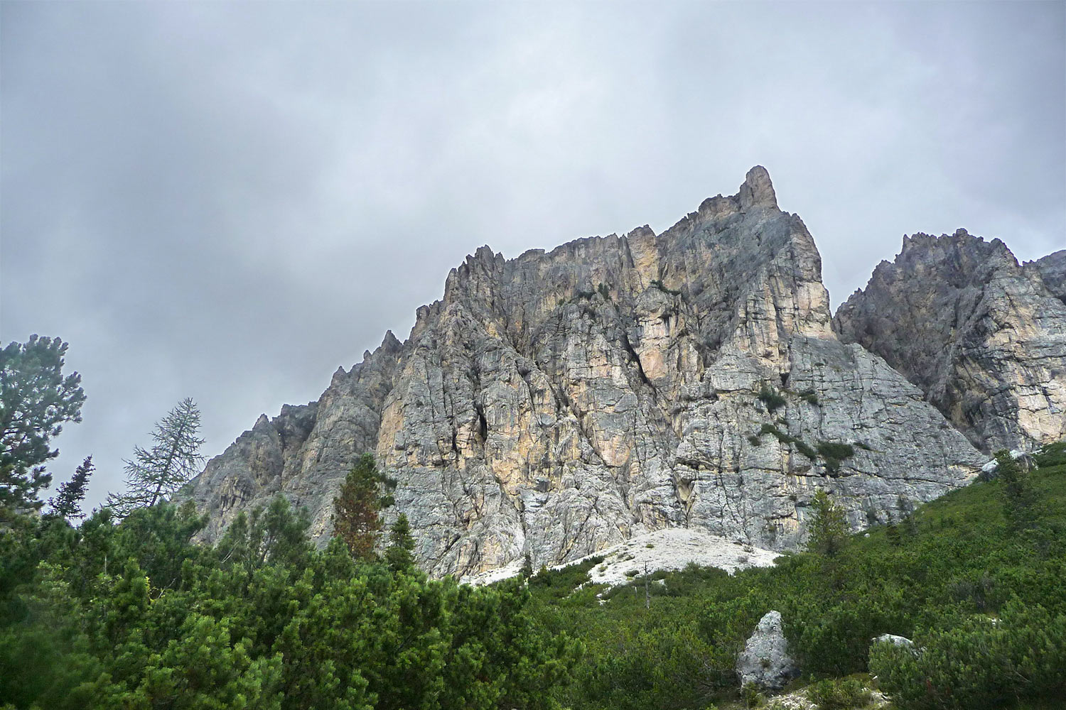 Col dei Bos 2017 (Foto: Klaus Wahl)
