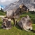 Kühe beim Überschalljoch . Karwendel (Foto: Andreas Kuhrt 2017)