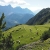 Schafe an der Sunntiger-Alm . Karwendel (Foto: Manuela Hahnebach 2017)