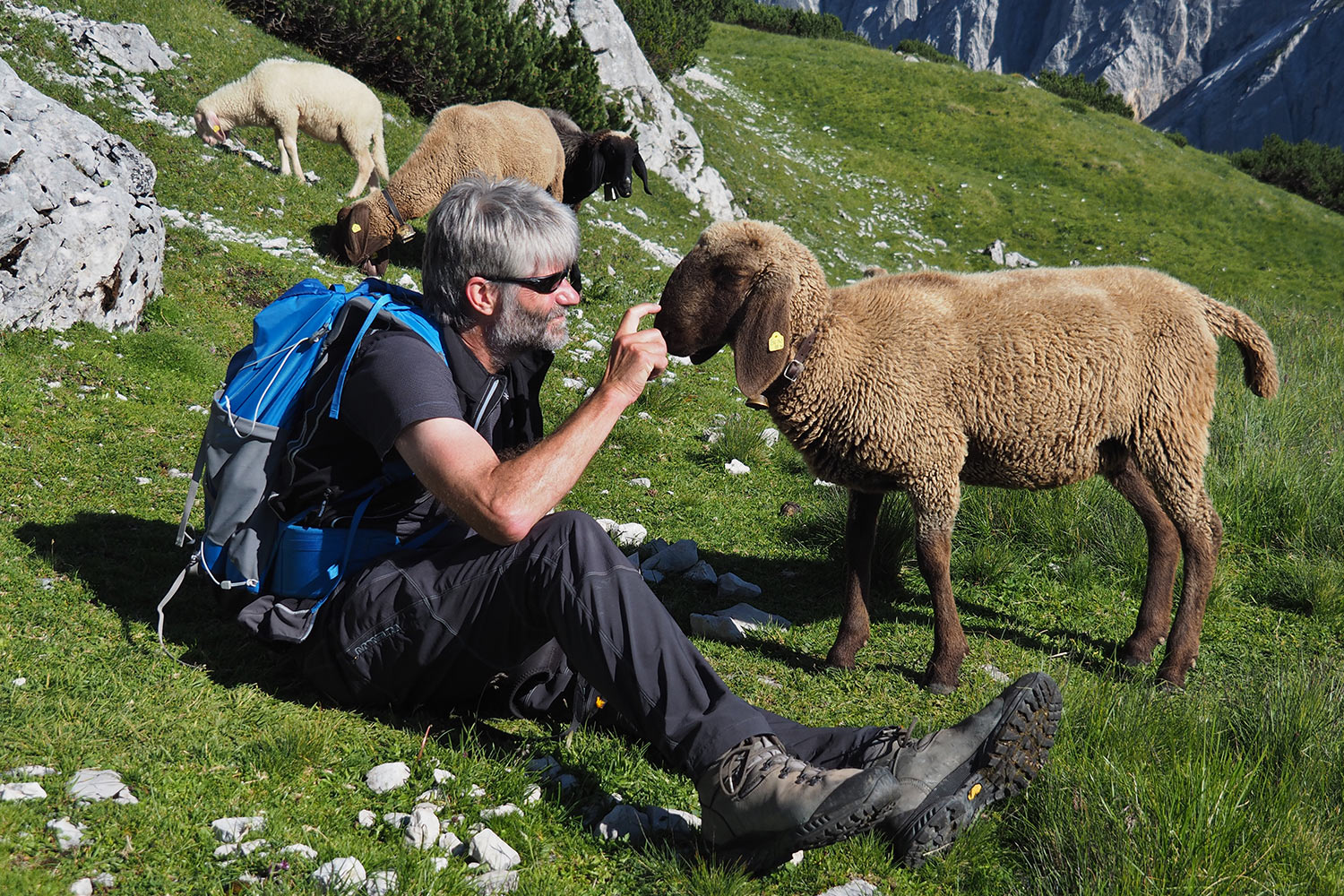 Andreas & Schafe an der Sunntiger-Alm . Karwendel (Foto: Manuela Hahnebach 2017)