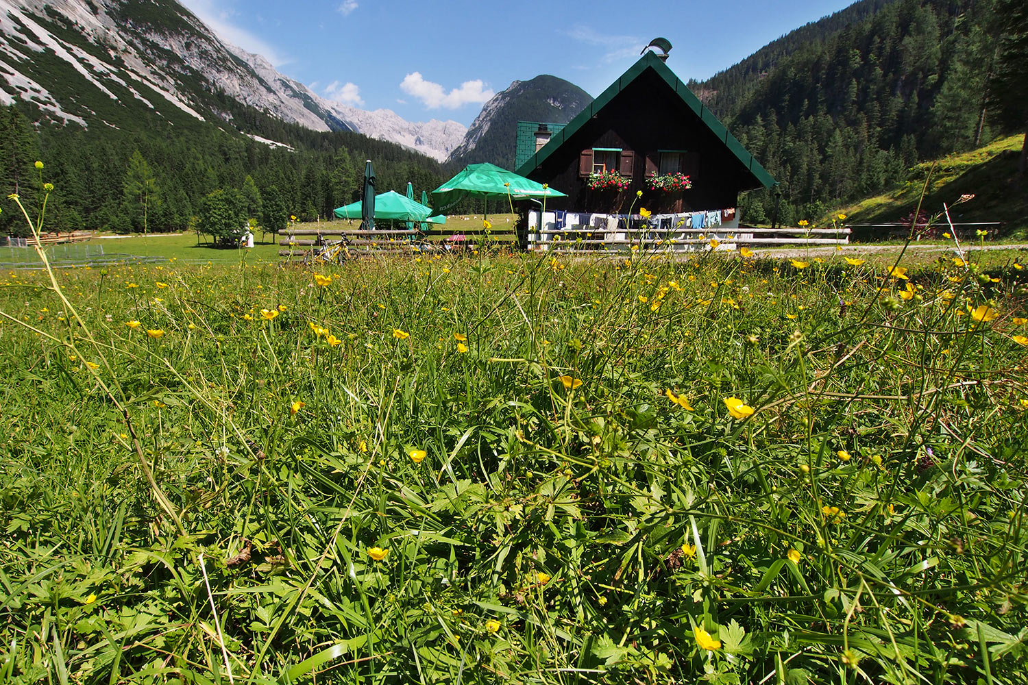 Möslalm . Karwendel (Foto: Andreas Kuhrt 2017)