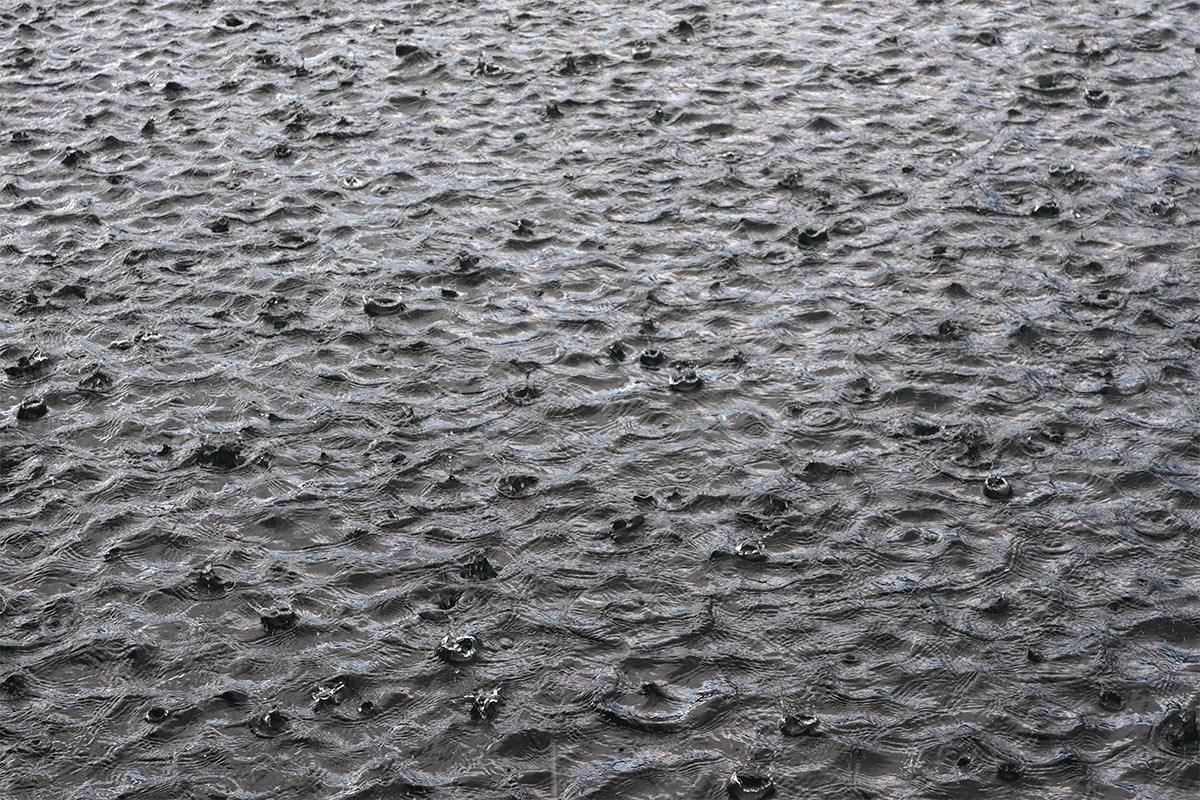 Regen am Schiefersee . Frühlingswanderung im Schieferpark Lehesten (Foto: Manuela Hahnebach 2017)