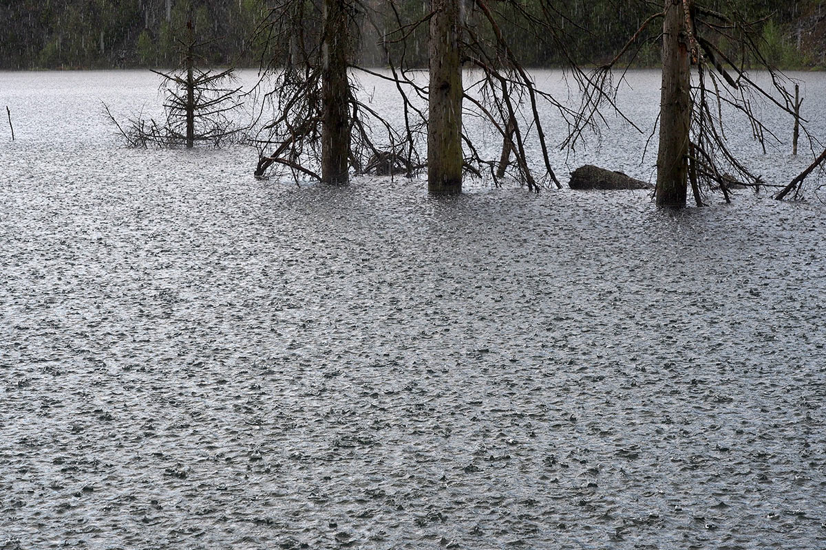 Regen am Schiefersee . Frühlingswanderung im Schieferpark Lehesten (Foto: Manuela Hahnebach 2017)