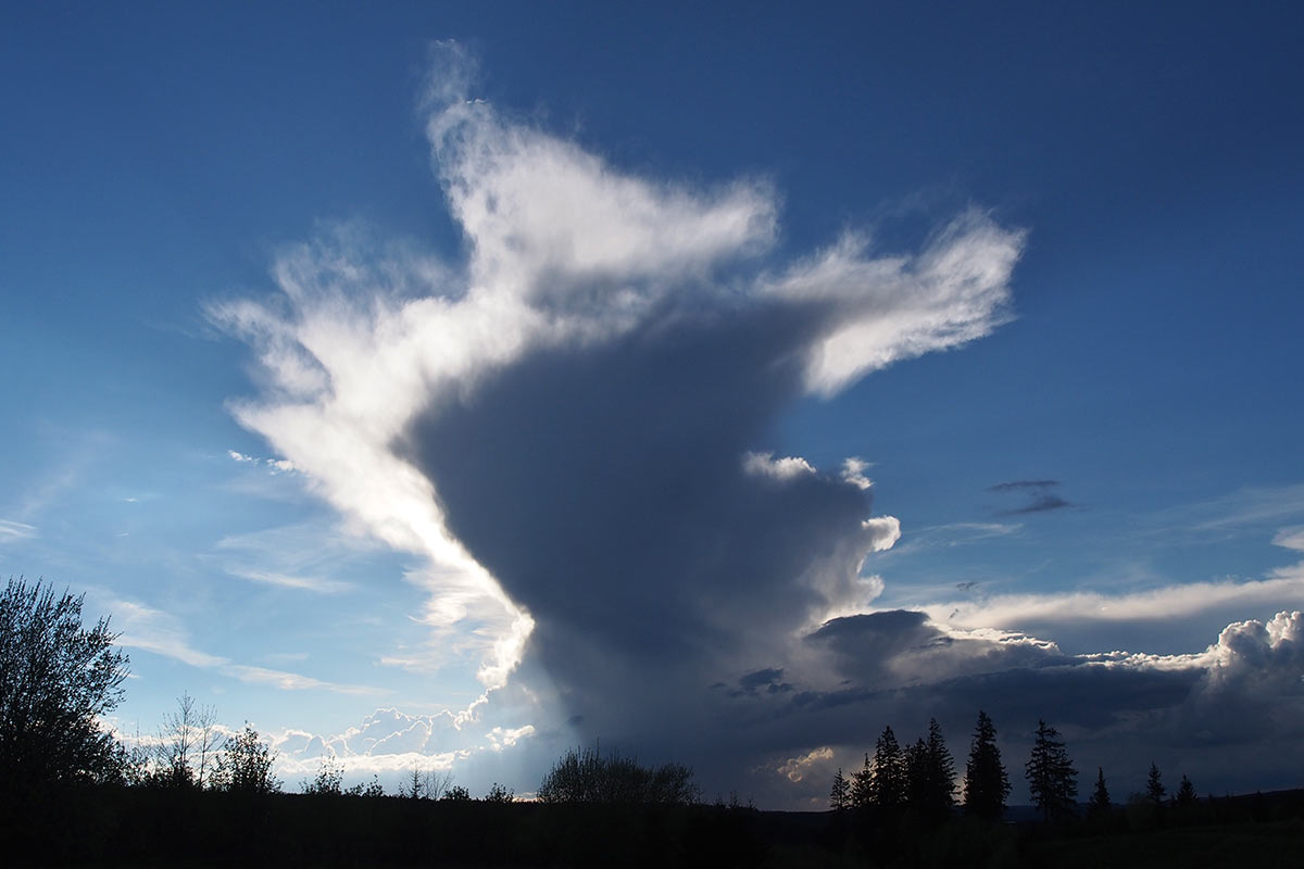 Wolkenturm bei Steinheid . Frühlingswanderung im Schieferpark Lehesten (Foto: Manuela Hahnebach 2017)