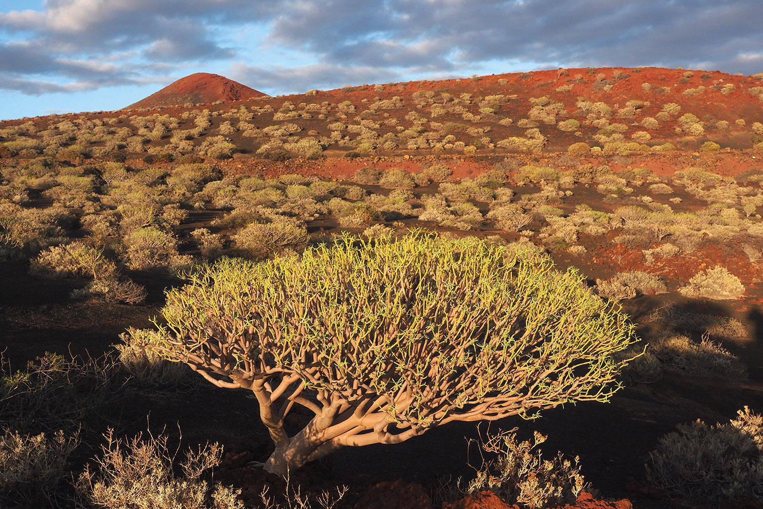 Lavalandschaft bei La Restinga . El Hierro 2018 (Foto: Andreas Kuhrt)