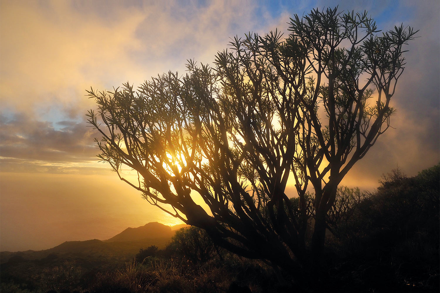 Sonnenuntergang an der Punta de la Palometa . El Hierro 2018 (Foto: Andreas Kuhrt)