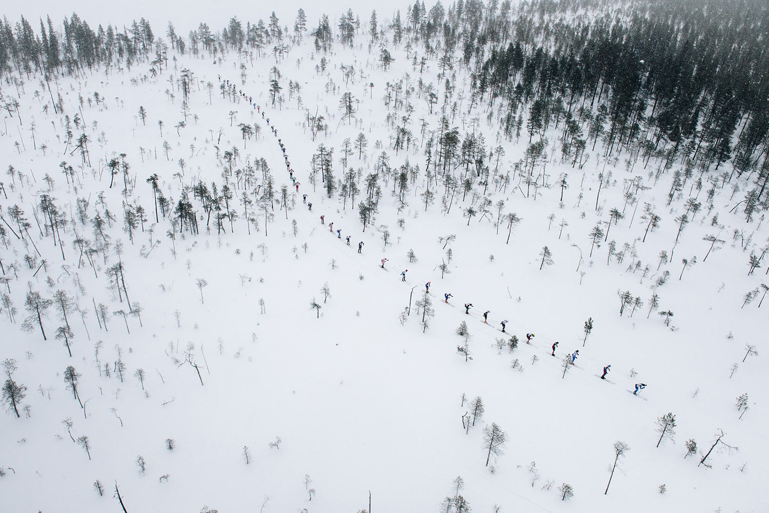 Nordenskiöldsloppet 2018