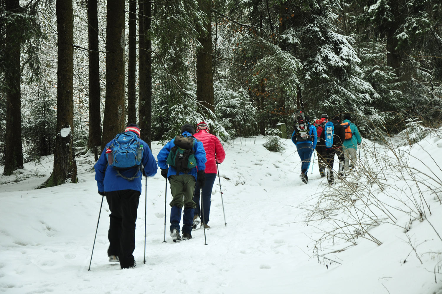Wintertour zum Ruppberg . Jahresendwanderung 2017 (Foto: Klaus Wahl)