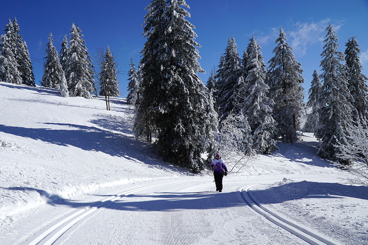 Winter im Schwarzwald (Foto: Sylvia/Klaus Wahl)