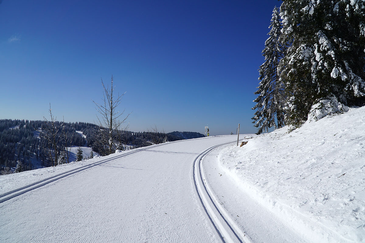 Winter im Schwarzwald (Foto: Sylvia/Klaus Wahl)