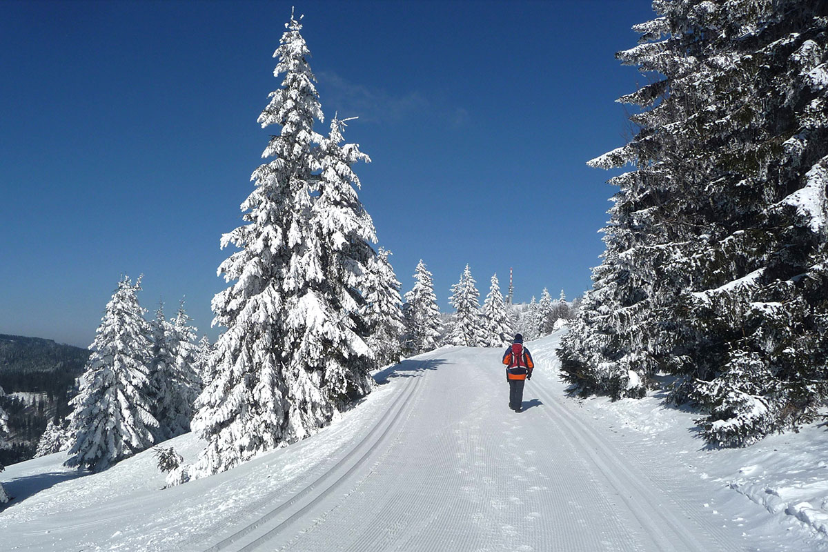 Winter im Schwarzwald (Foto: Sylvia/Klaus Wahl)