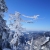 Winter im Schwarzwald (Foto: Sylvia/Klaus Wahl)