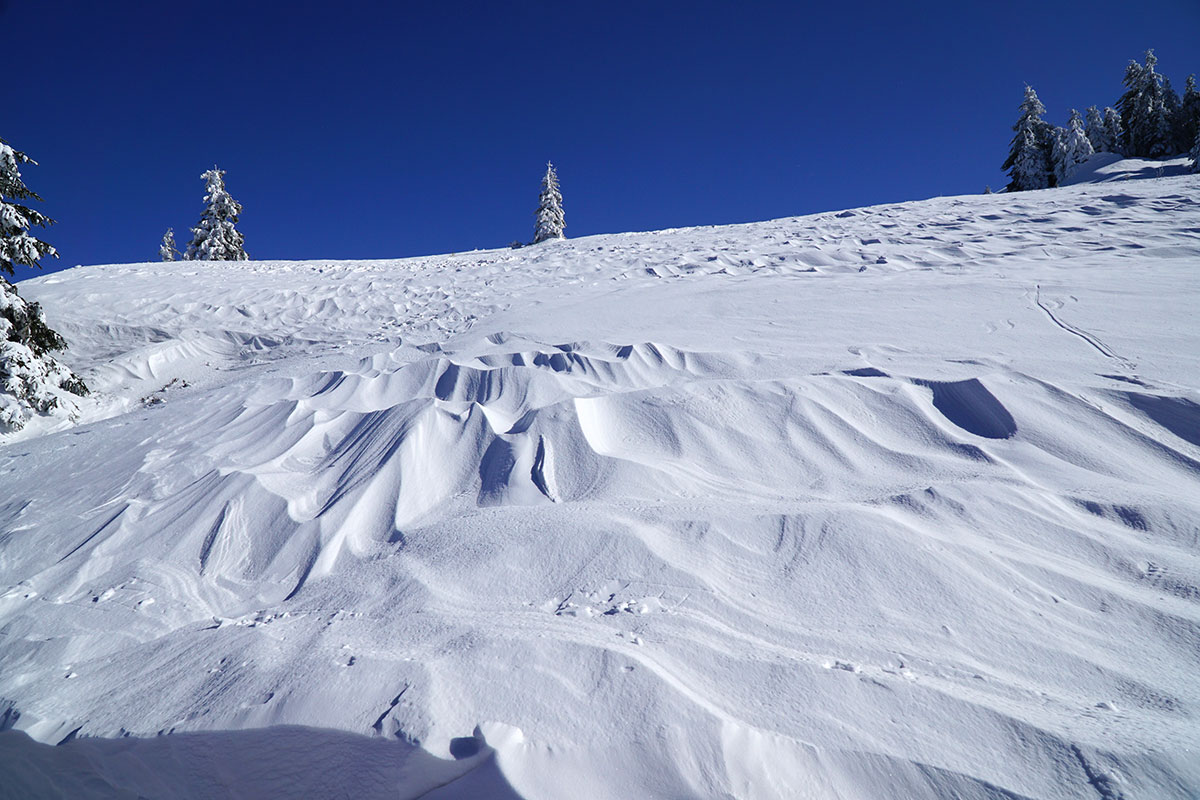 Winter im Schwarzwald (Foto: Sylvia/Klaus Wahl)