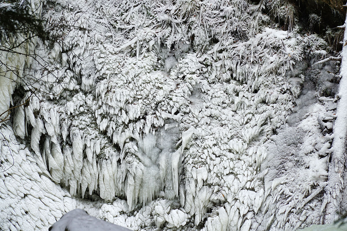 Winter im Schwarzwald: Ravennaschlucht (Foto: Sylvia/Klaus Wahl)