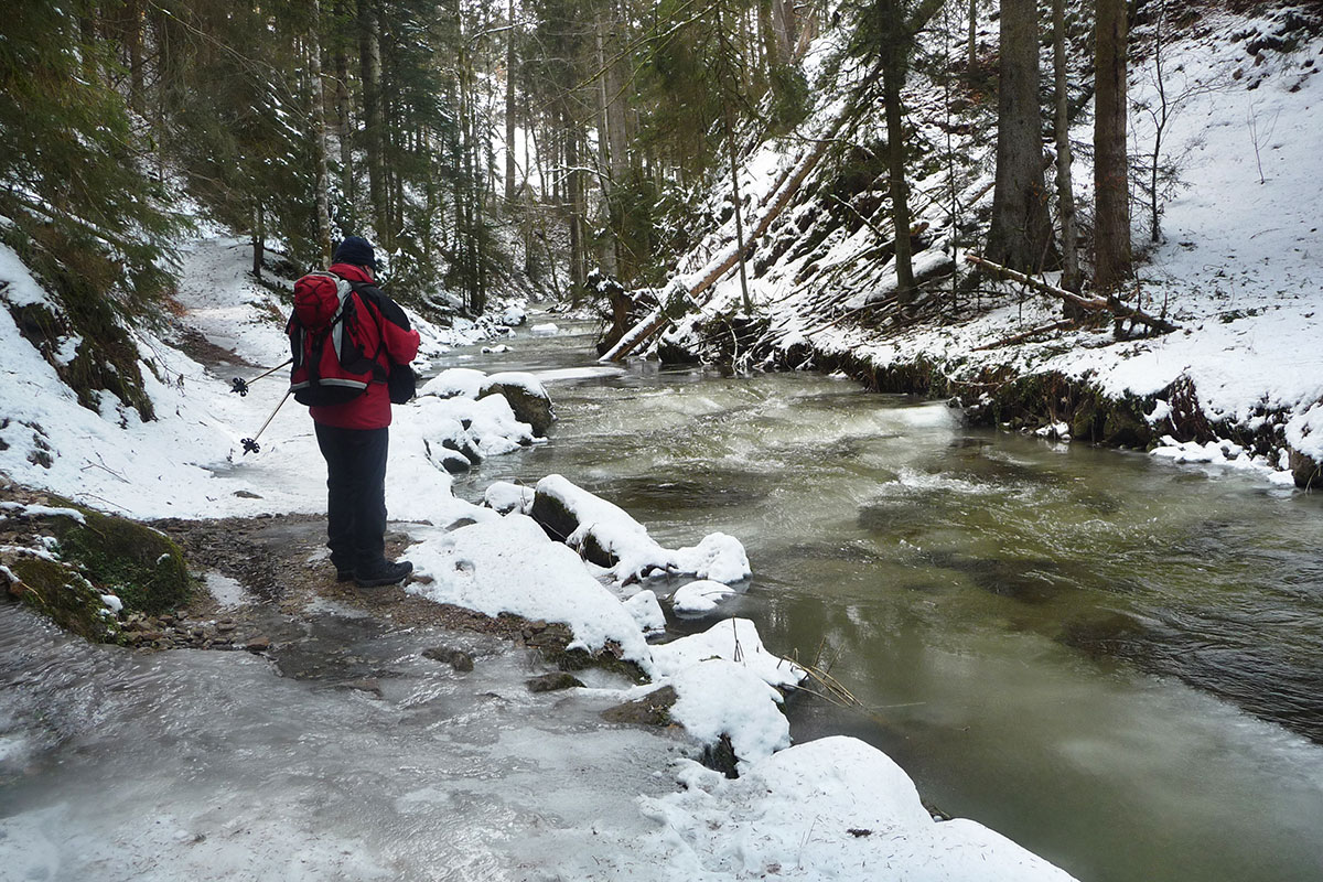 Winter im Schwarzwald: Ravennaschlucht (Foto: Sylvia/Klaus Wahl)