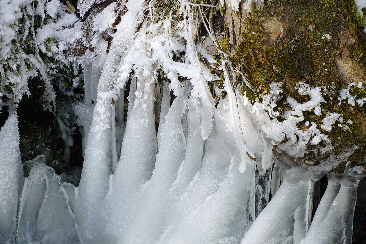 Winter im Schwarzwald: Ravennaschlucht (Foto: Sylvia/Klaus Wahl)