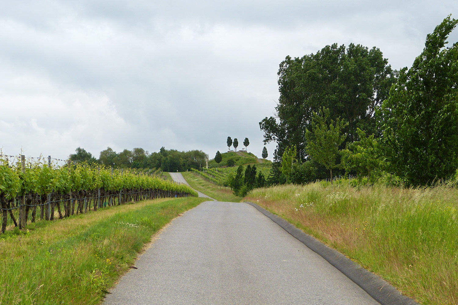 Zum Kreuzberg . Weinwanderung Volkacher Mainschleife 2018 (Foto: Sigrid Beck)