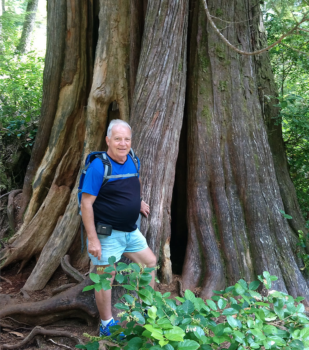 Im Rainforest . Vancouver Island . Westkanada 2018 (Foto: Barbara & Jochen Hollandt)