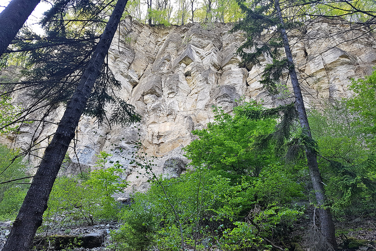 Eingefallener Berg bei Themar (Foto: Sigrid Beck)