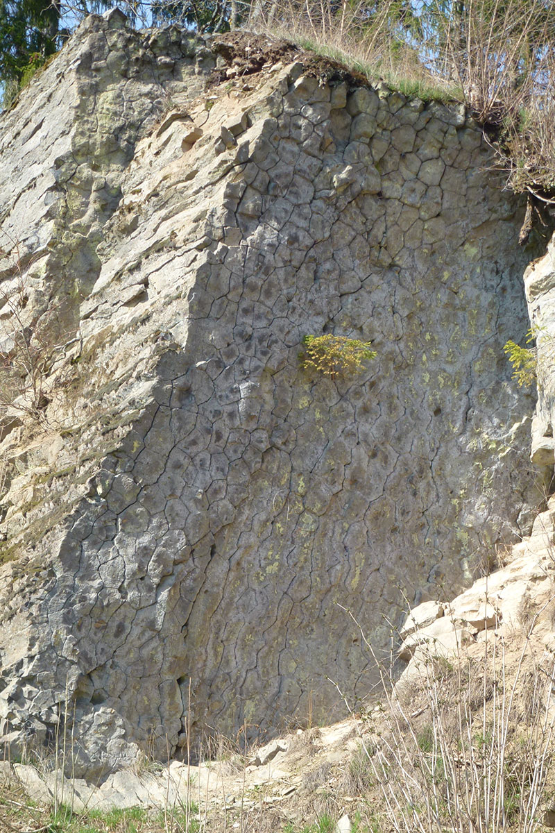 Feldstein bei Lengfeld (Foto: Sigrid Beck)