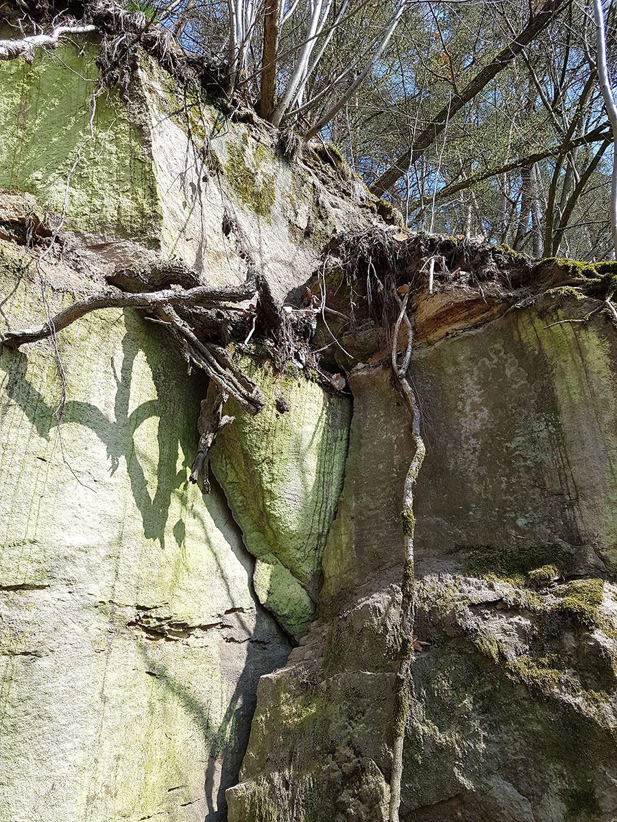 Stäte bei Schleusingen (Foto: Sigrid Beck)