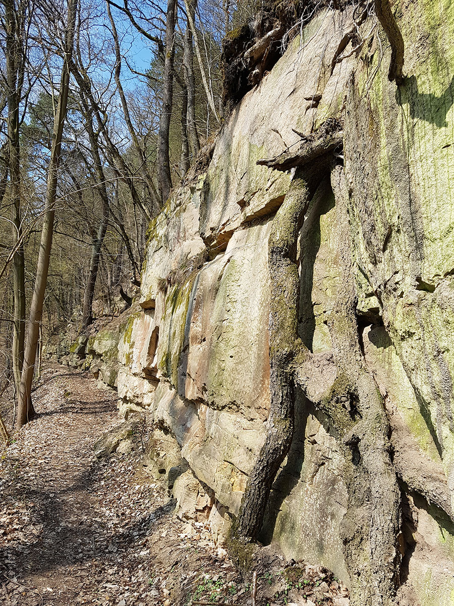 Stäte bei Schleusingen (Foto: Sigrid Beck)