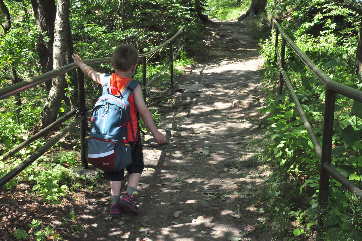 2019 Sächsische Schweiz (Foto: Klaus Wahl)