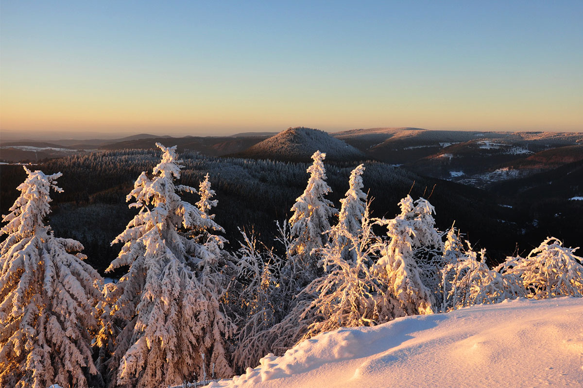 Am Scheekopf (Foto: Klaus Wahl)