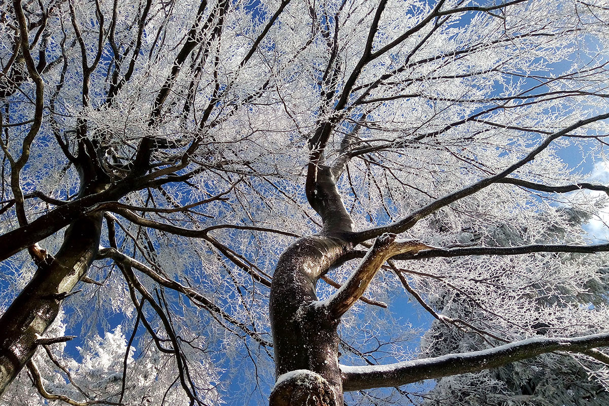 Am Ruppberg (Foto: Klaus Wahl)