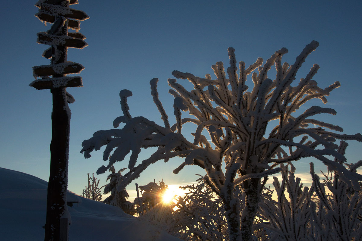 Am Ruppberg (Foto: Klaus Wahl)