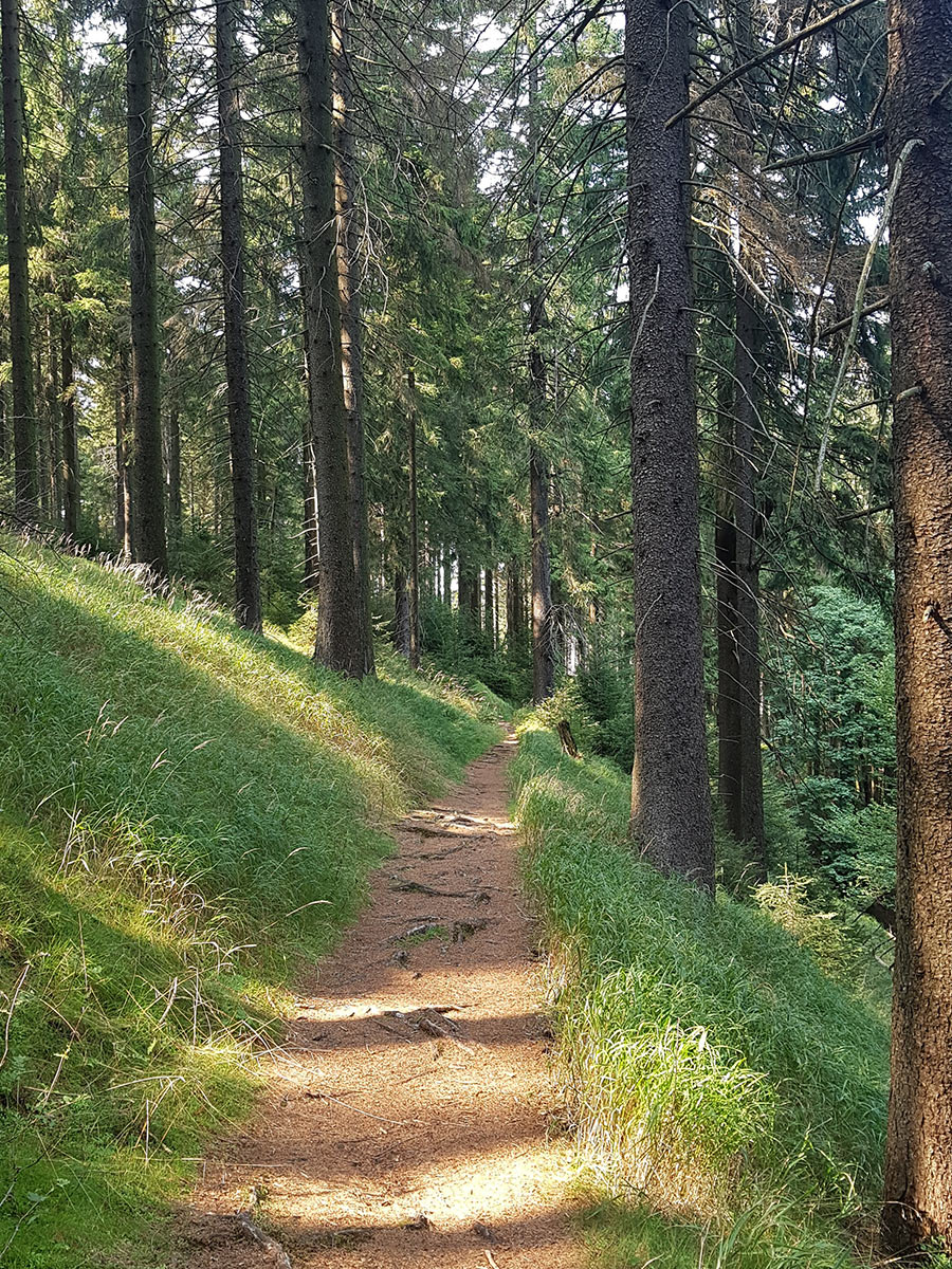 Gipfelwanderweg (Foto: Beate Bähr)
