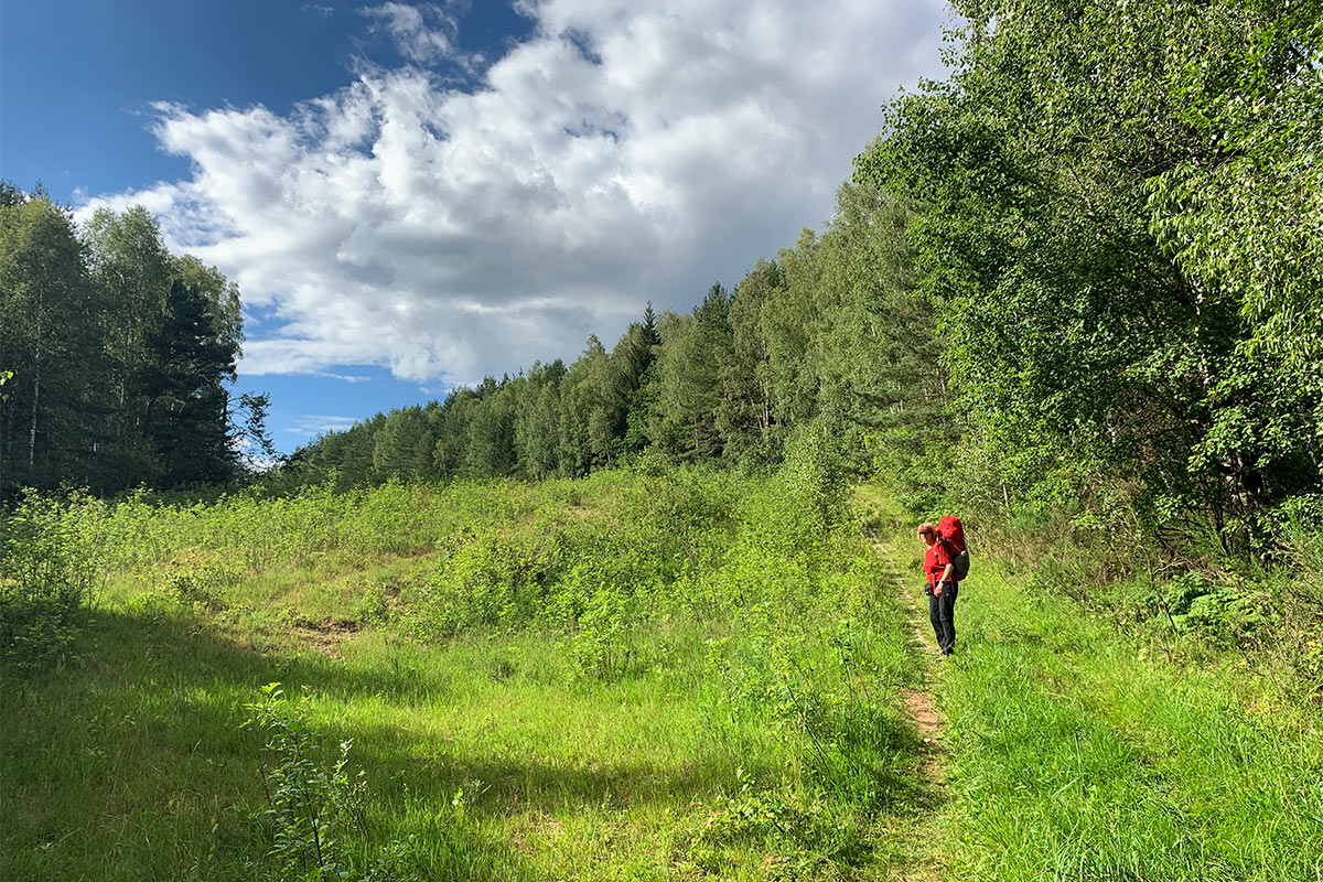 Grünes Band: Kolonnenweg in der Gördsdorfer Heide (Foto: Andreas Kuhrt)