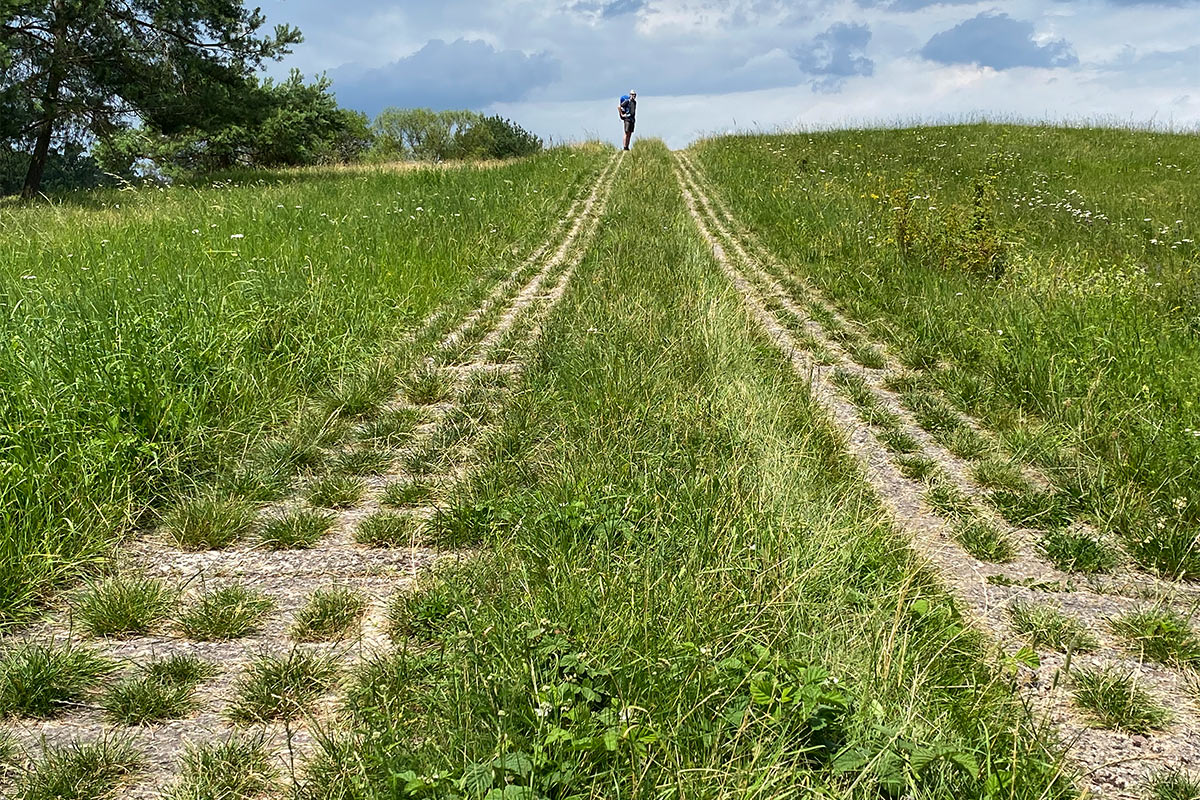 Grünes Band: Kolonnenweg bei Ummerstadt (Foto: Manuela Hahnebach)
