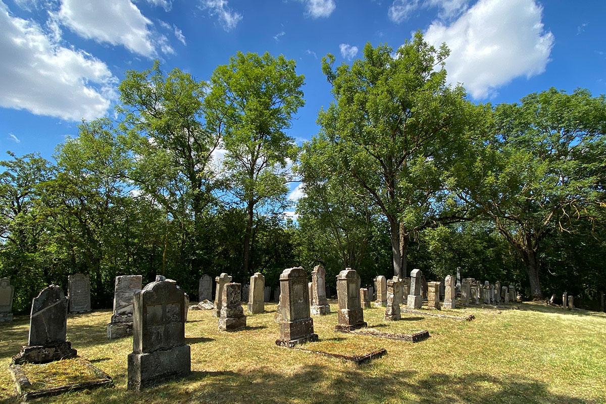 Grünes Band: Jüdischer Friedhof bei Berkach (Foto: Manuela Hahnebach)
