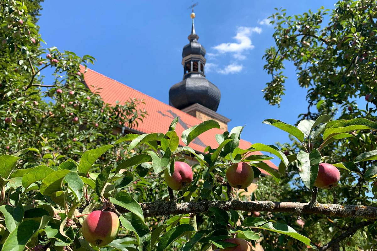 Grünes Band: an der Kirche St. Petrus in Behrungen (Foto: Andreas Kuhrt)