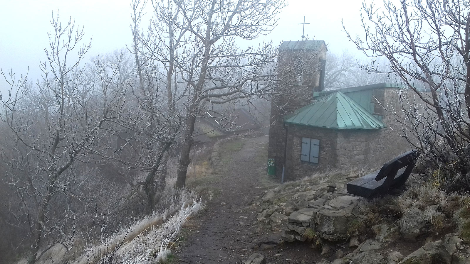 Hochrhöner (Foto: Monika/Dietrich Schild)